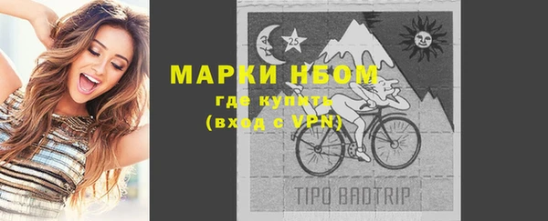 прущий лед Вяземский