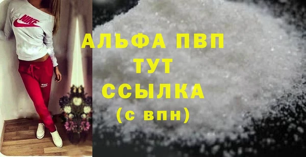 прущий лед Вяземский