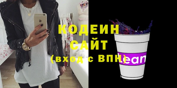прущий лед Вяземский