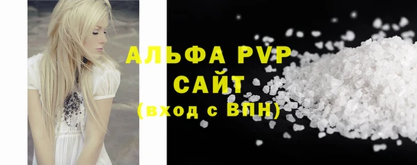 прущий лед Вяземский