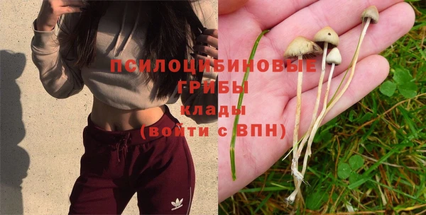 прущий лед Вяземский