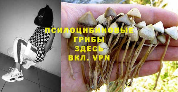 синтетический гашиш Вязьма