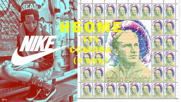 прущий лед Вяземский