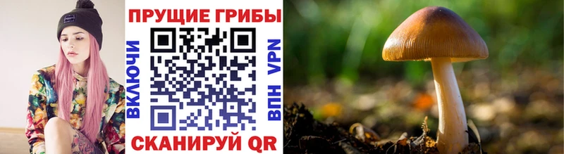 Купить закладки  Карпинск  Галлюциногенные грибы ЛСД 